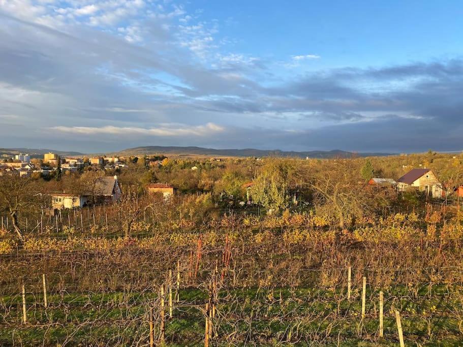 Kyjoff - Domecek S Krasnymi Vyhledy Kyjov (Hodonin District)